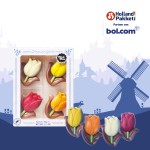 Holland cadeaupakket XXL nr 5 met 2 talig Holland boek | Hollandse cadeautjes | Pakket met diverse Hollandse lekkernijen