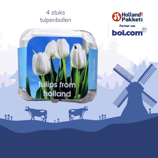 Holland cadeaupakket XXL dutch delights met 2 talig Holland boek | Hollandse cadeautjes | Pakket met diverse Hollandse lekkernijen